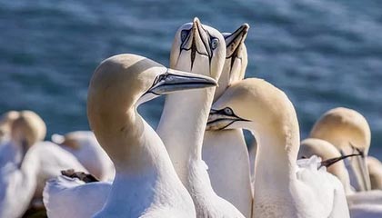 快乐（不）新钥匙：TWW第三赛季大秘境第21周排名