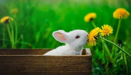 快乐（不）新钥匙：TWW第三赛季大秘境第21周排名